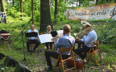 Muzsikál az erdő a” Hírös városban”