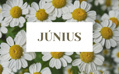 Júniusi programajánló