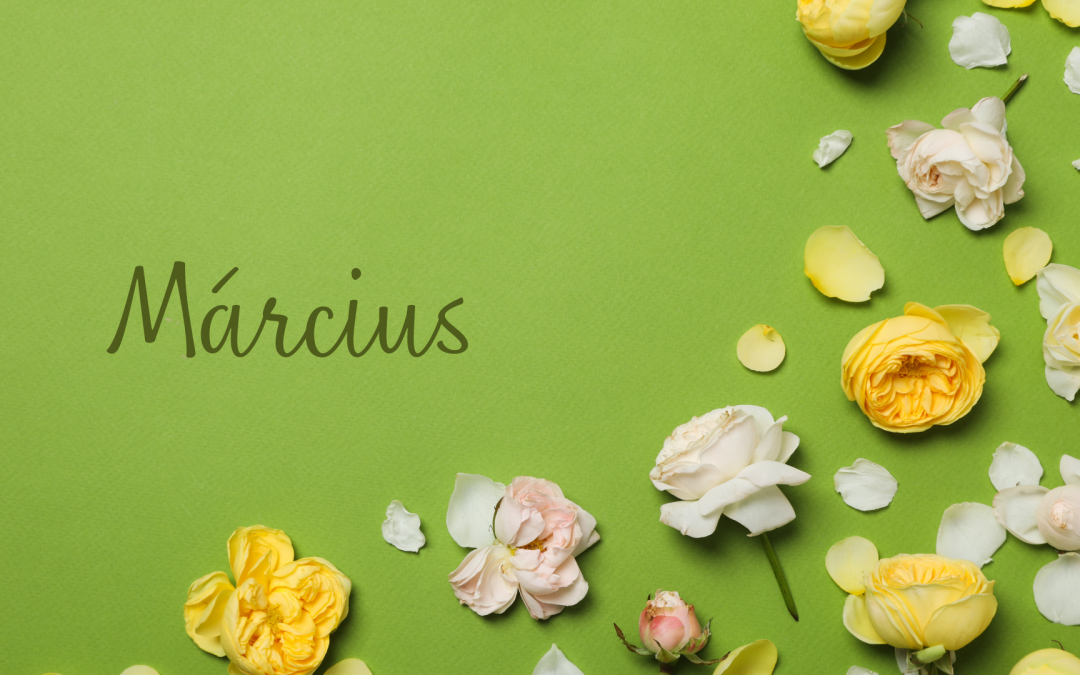 Márciusi Programajánló