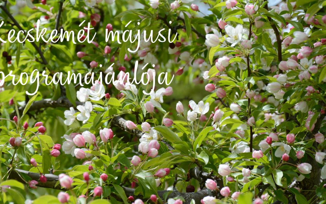 Májusi programajánló