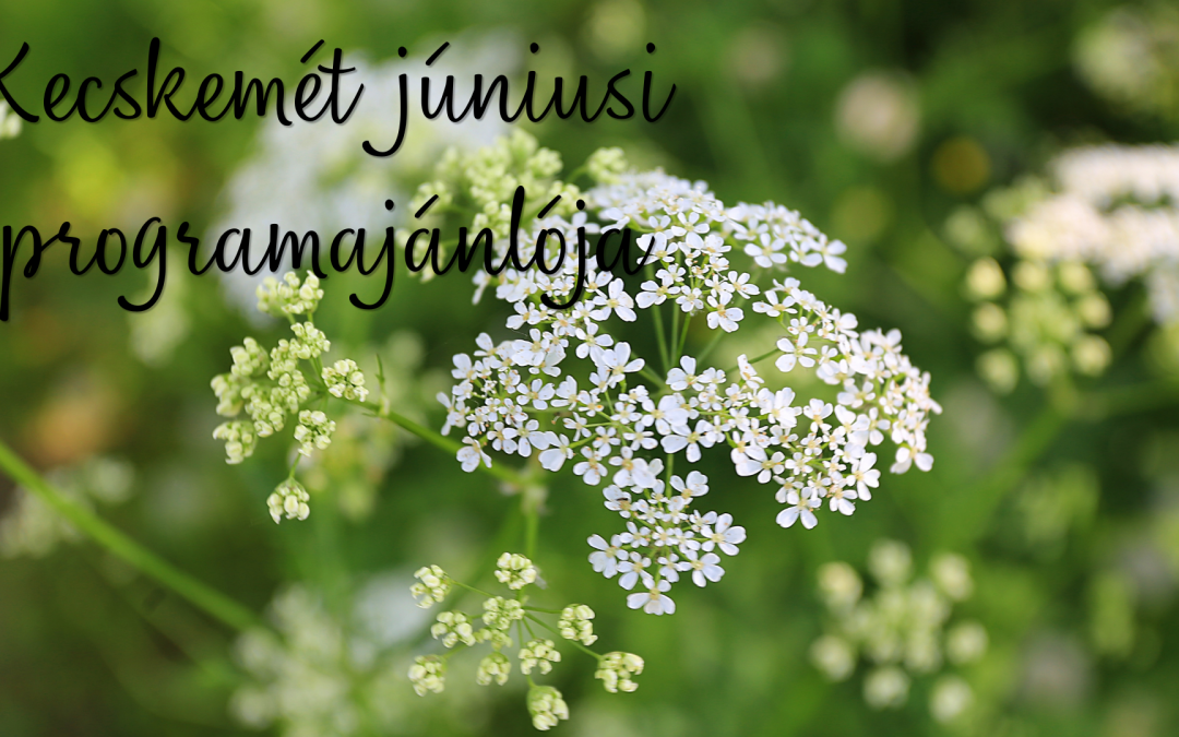 Júniusi programajánló